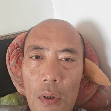 推荐精品盐渍海带头规格齐全品质保证源头工厂供全国批发零