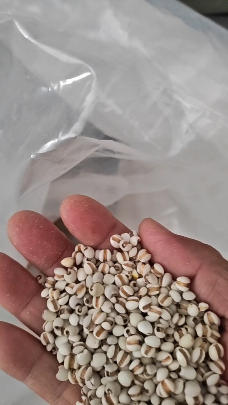 贵州薏仁米，有全国薏仁米之乡称号