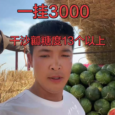 花无籽精品货，发往四川，糖度13加