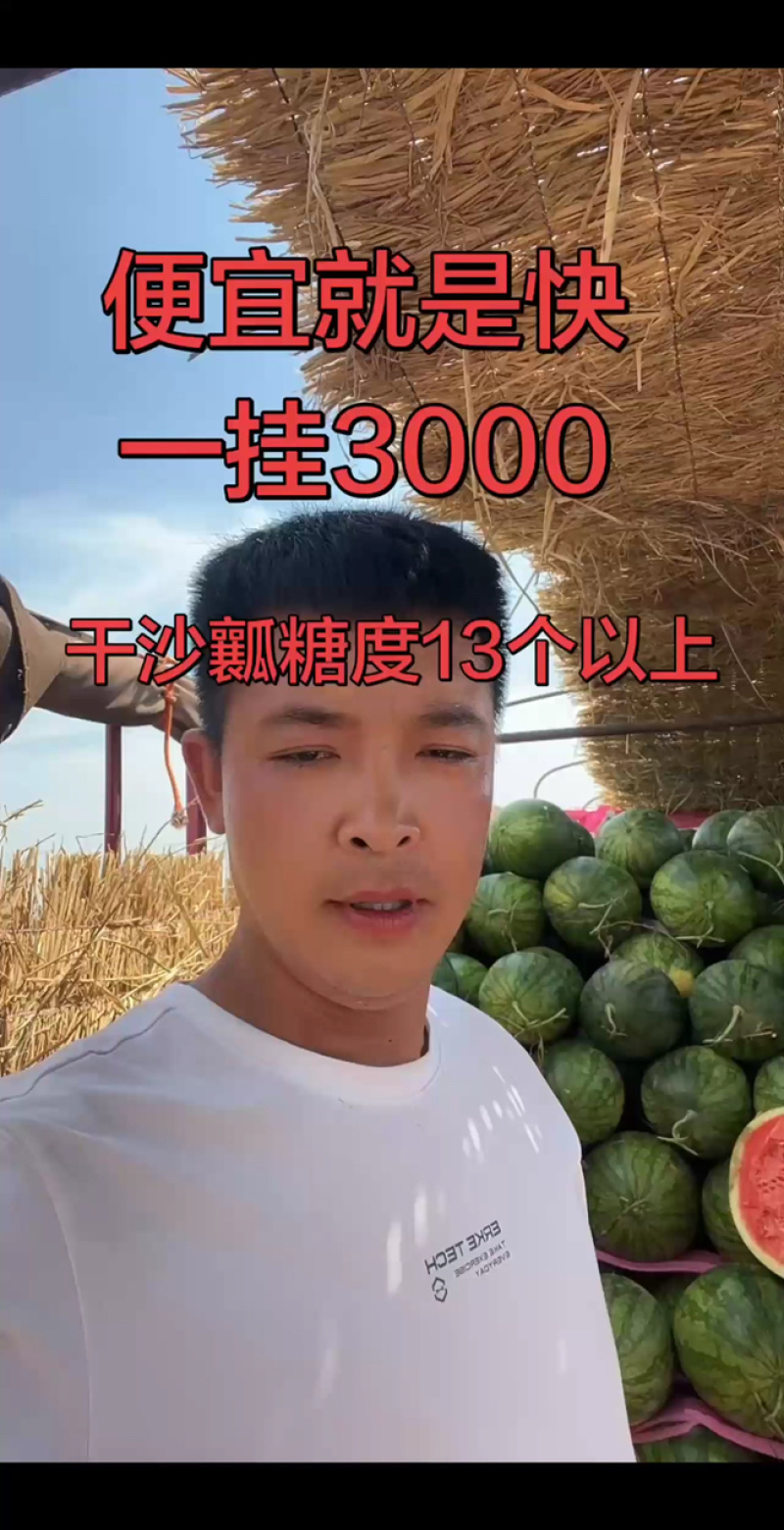 花无籽精品货，发往四川，糖度13加
