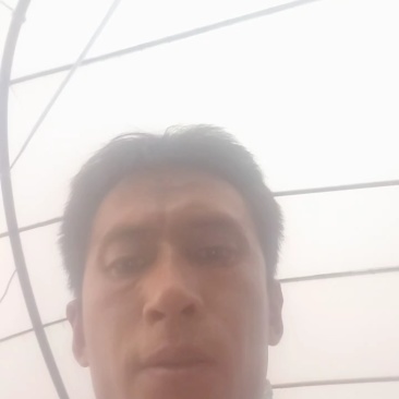 鸡毛菜肖根鸡毛菜产地直发量大从优可视频看货对接全国