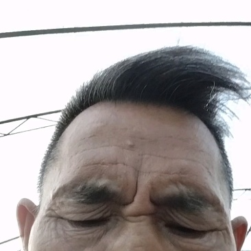 河北张北万亩产地直供西芹，品质保证，专业代购，走好每一