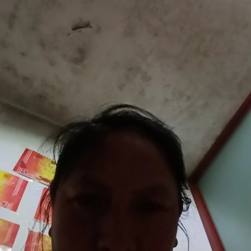 云南童茸干片/松茸干片大量接单产地直发量大从优欢迎来电
