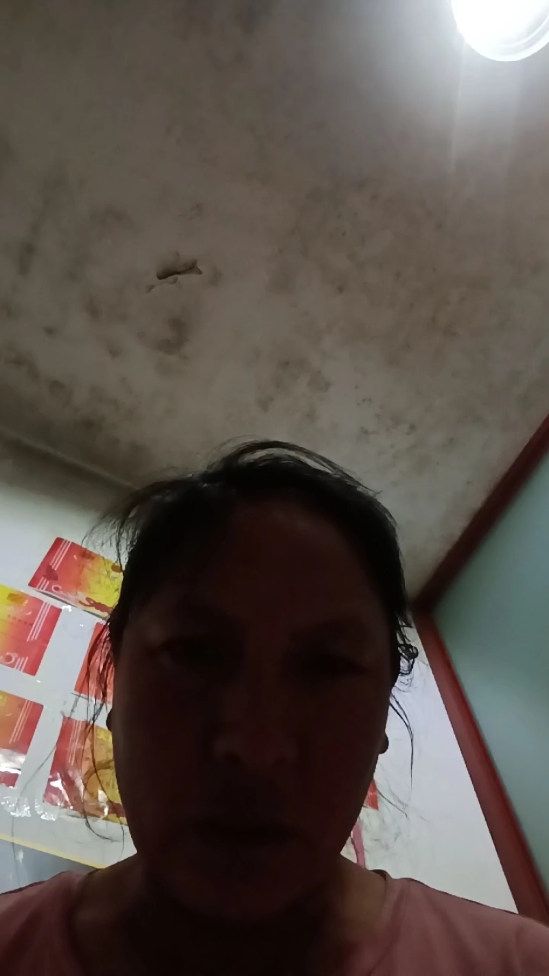 云南童茸干片/松茸干片大量接单产地直发量大从优欢迎来电