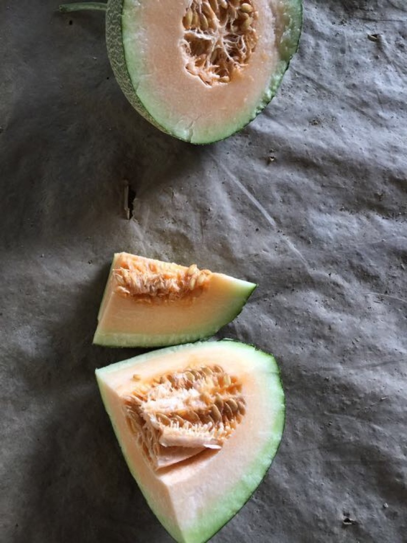 西州蜜瓜