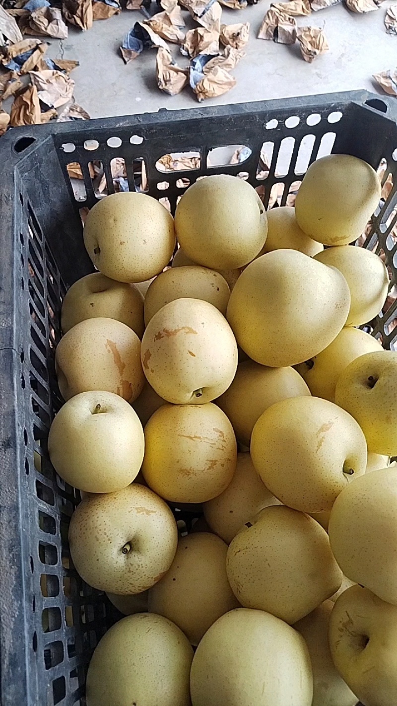 大量皇冠高次，二极果