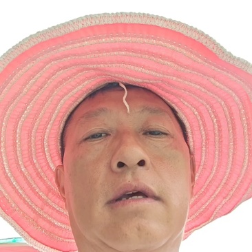 野生的黄精品质保证物美价廉量大从优
