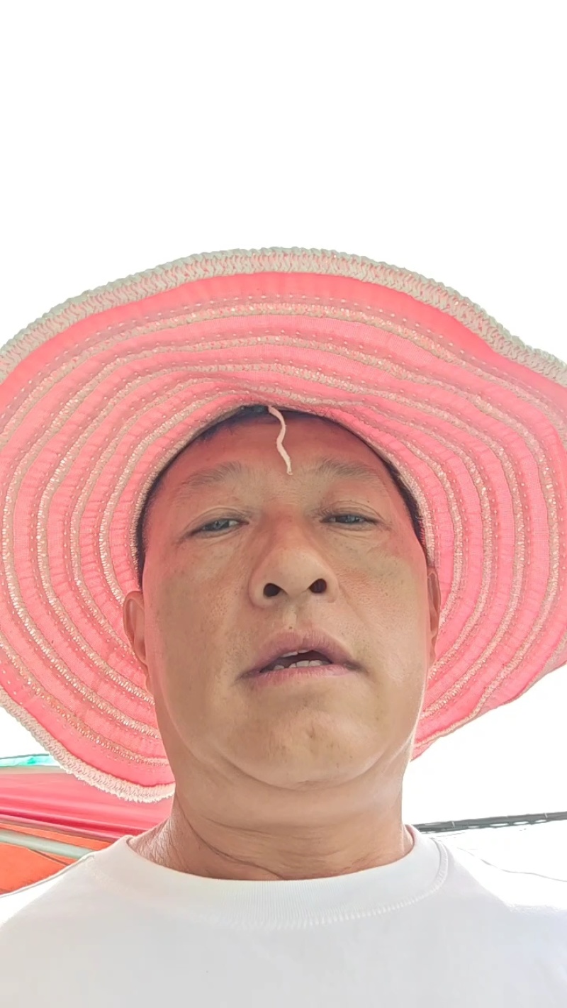 野生的黄精品质保证物美价廉量大从优