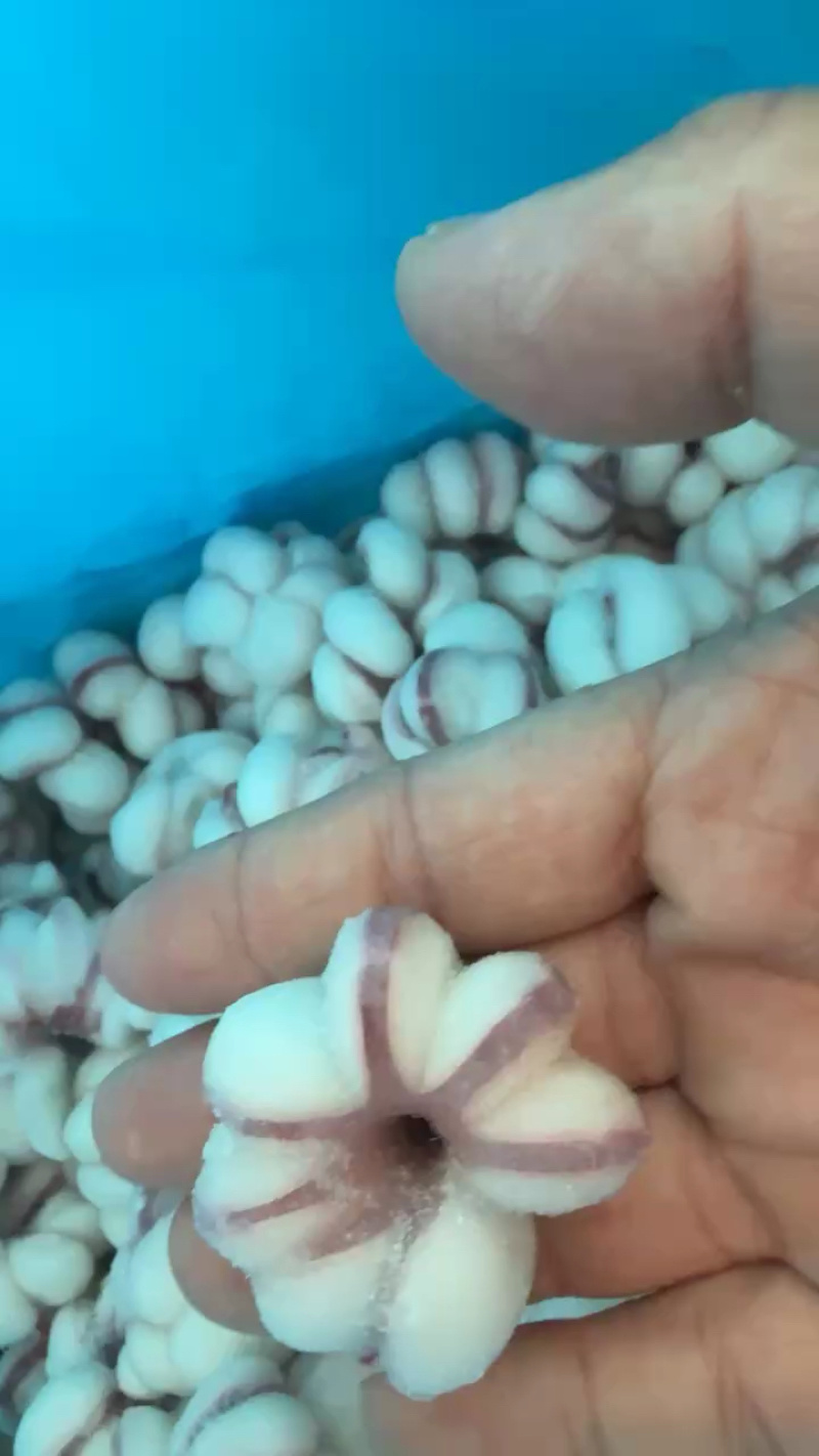 鱿鱼花花瓣鱿鱼捞汁涮火锅食材爆炒鱿鱼花海鲜批发