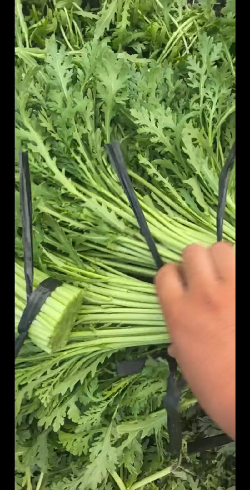 茼蒿产地直发【诚信经营】保质保量