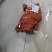 【卤肥肠】肥肠传统卤制经典美味冷链配送全国发货接受定制