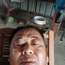紫皮大蒜，杞县大蒜，产地直发！，保质保量！欢迎下单！