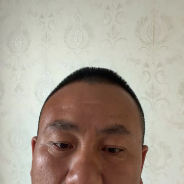 葡萄石家庄巨峰葡萄【一手货源实力代办】品质保证欢迎