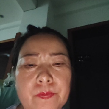 云南省普洱市景东县勃氏甜龙竹苗（云甜一号）