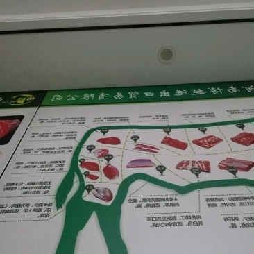 牛龟腱