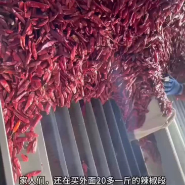 辣椒段电商直供货规格齐全量大从优