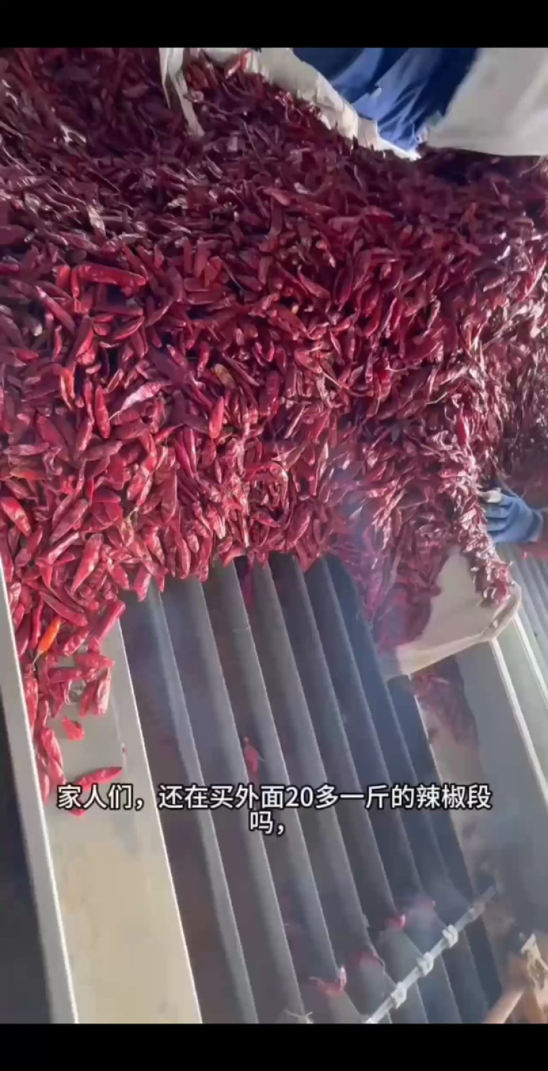 辣椒段电商直供货规格齐全量大从优