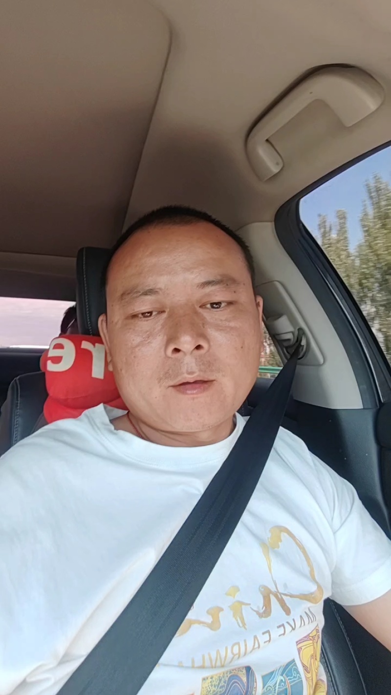 《优选》美都西瓜无籽有籽规格齐全产地货源品质有保证一手货
