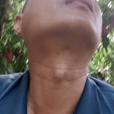 红久保脆桃毛桃七月六日大量上市