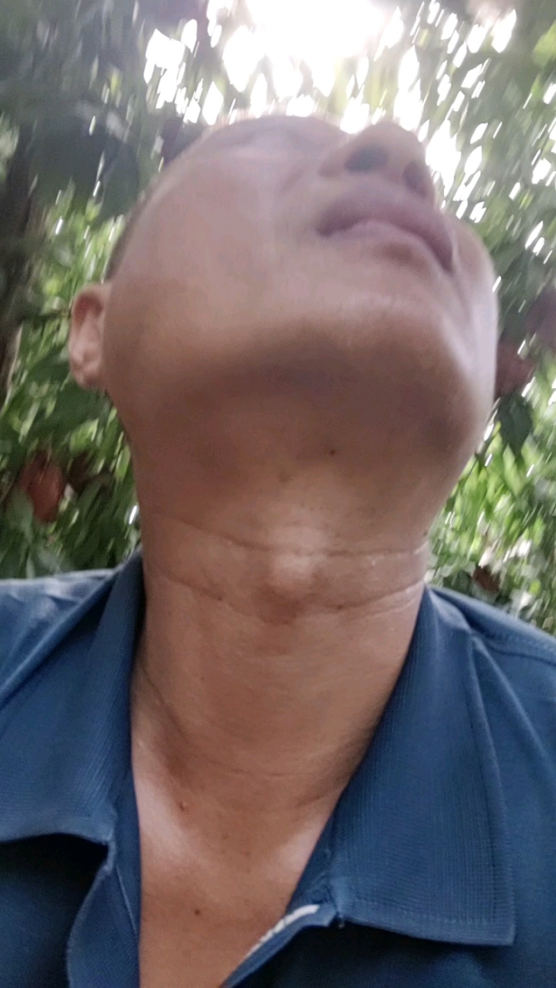 红久保脆桃毛桃七月六日大量上市