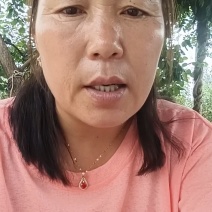 鲁丽苹果