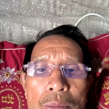 精品青稞大蒜，大量有货，品质有保障，量大从优