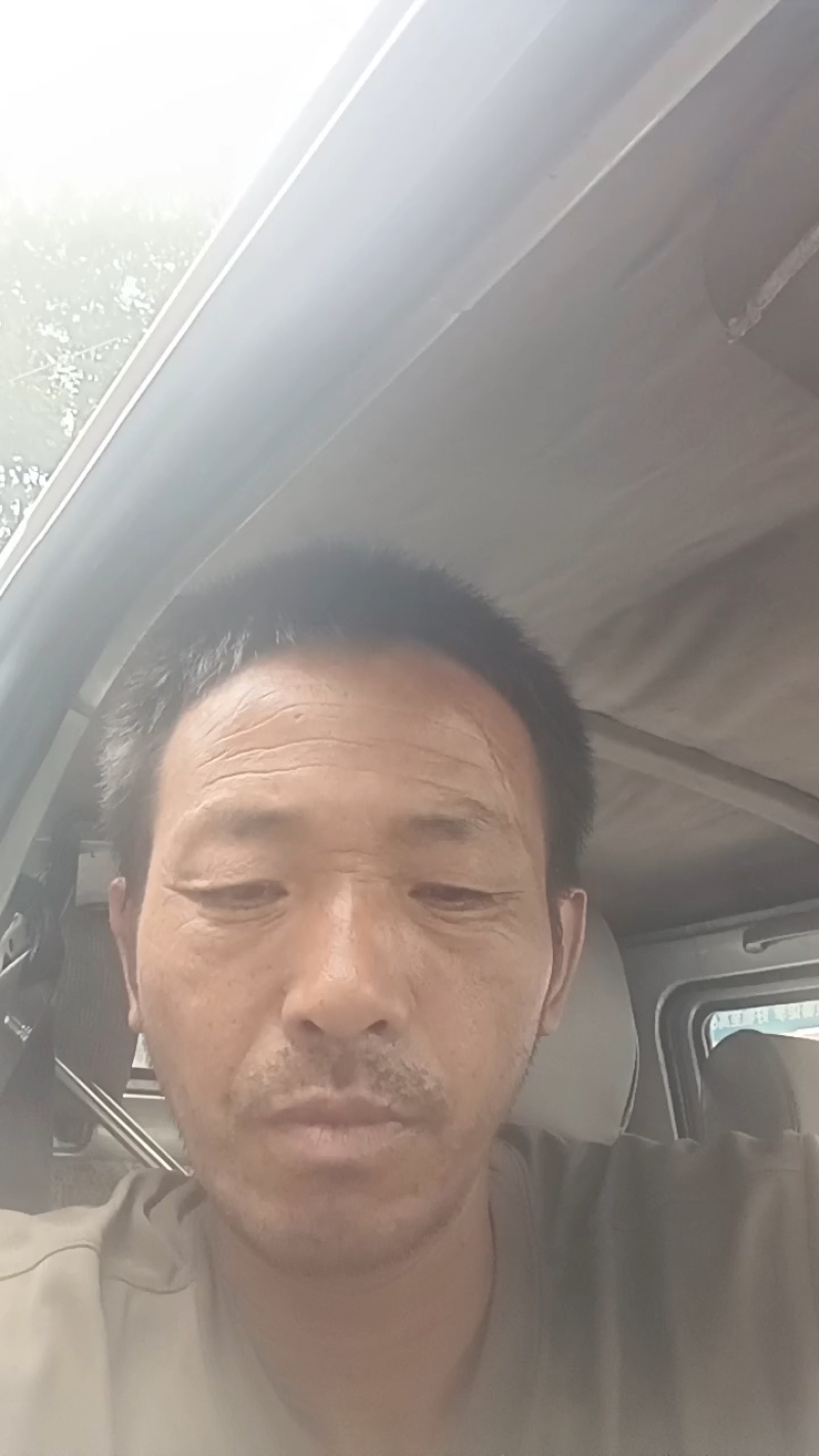 野生五灵脂