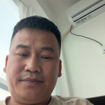 嫁接黄瓜苗#黄瓜苗