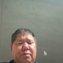《推荐》新乡麦秸秆大量上市中！产地实发一手货源！！