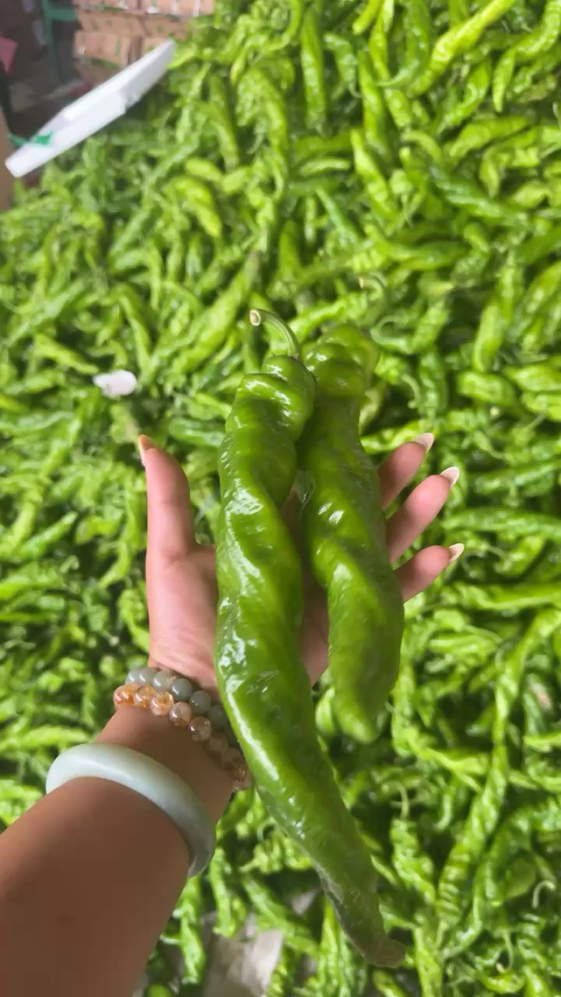 螺丝椒