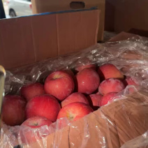 【苹果】山东精品红富士苹果产地直供一手货源脆甜多汁