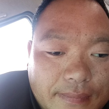 红露苹果树上现摘，脆甜，货量足