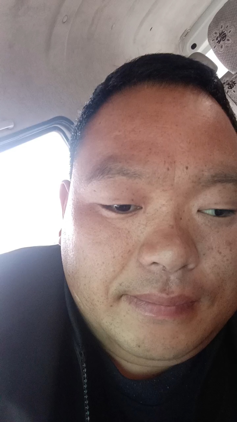 红露苹果树上现摘，脆甜，货量足
