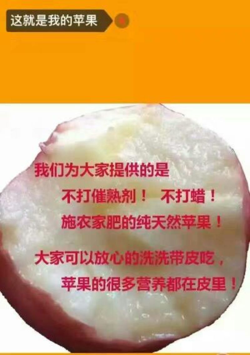 冰糖心苹果70mm以上膜袋