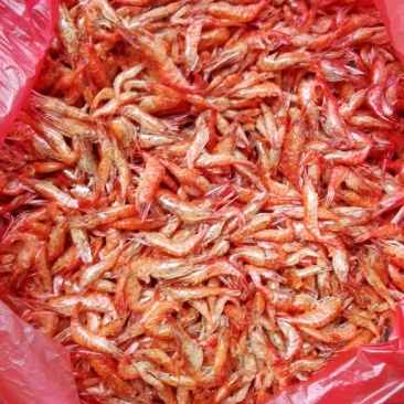 虾干一级