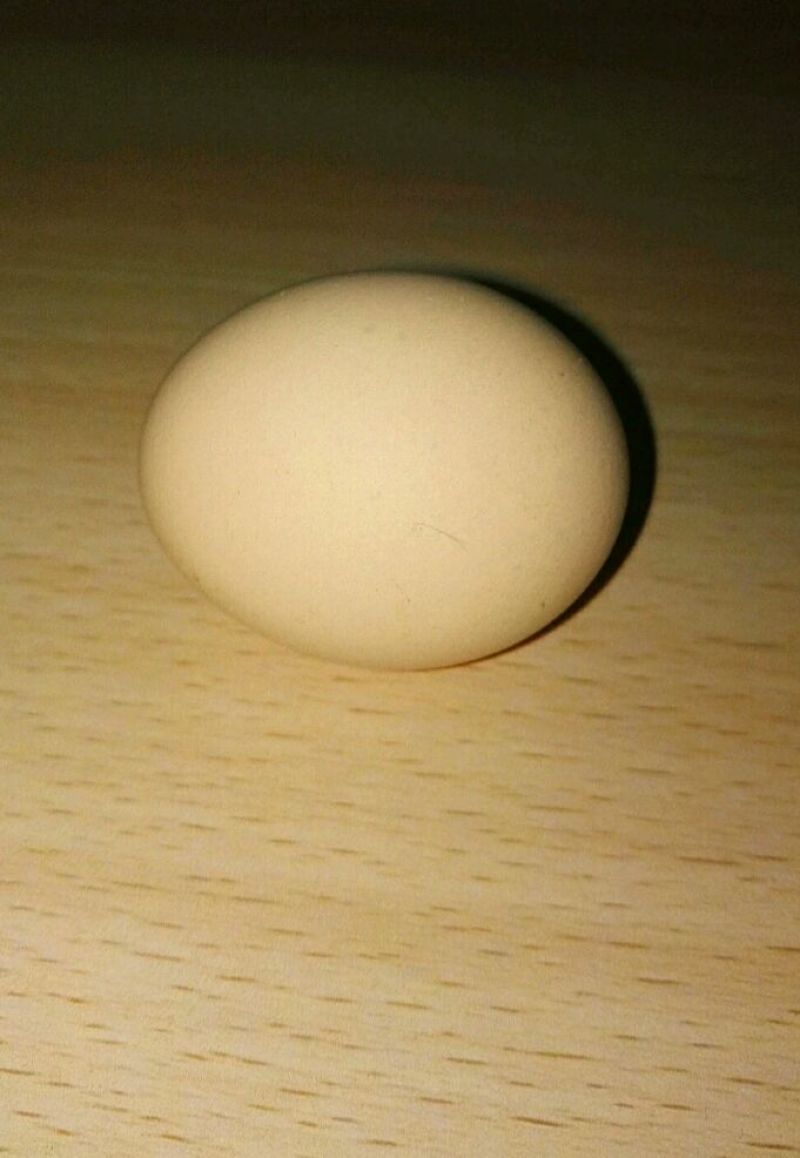 土鸡蛋食用40~50g