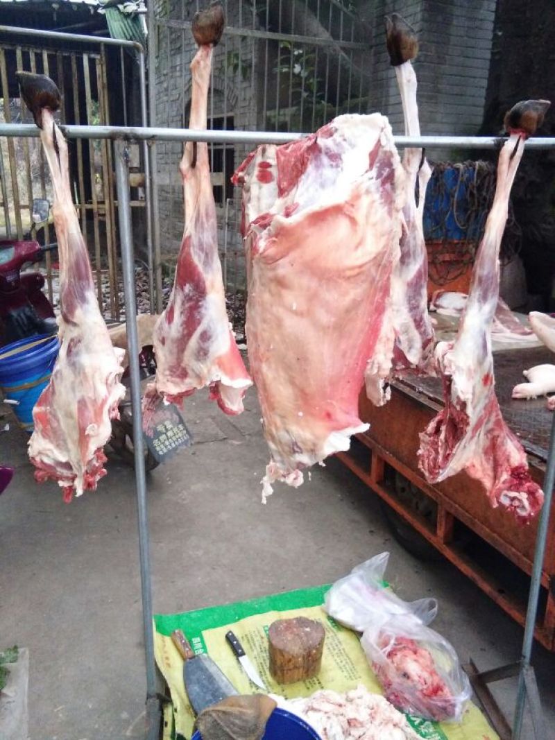 普通羊肉山羊肉否带骨