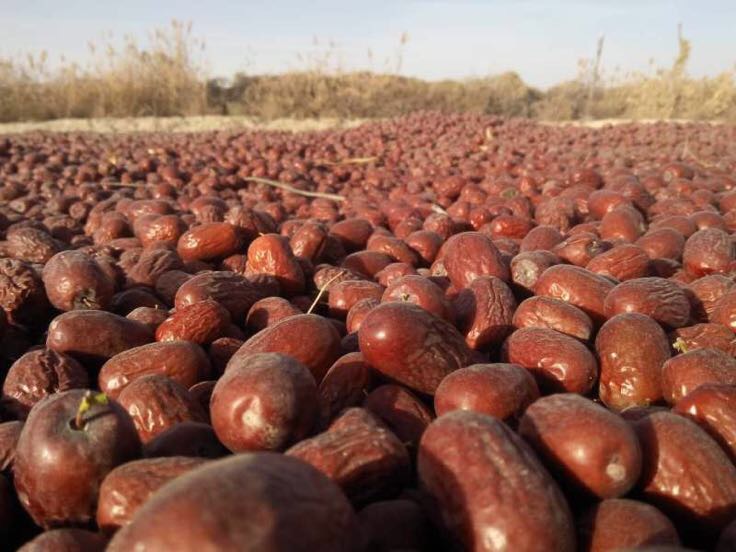 求大神!关于通货膨胀与失业间短期权衡取舍的