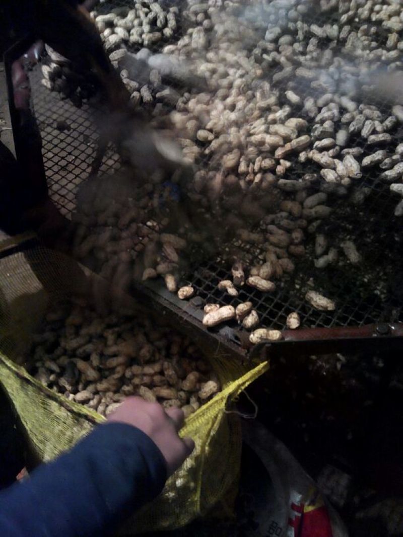 带壳花生鲜货带壳