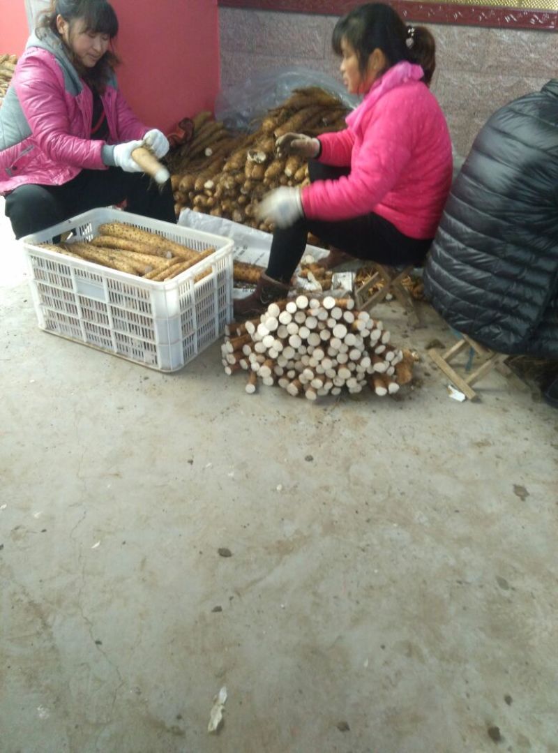 白玉山药3~4厘米50~70厘米一级