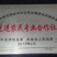 南方红豆杉，景观结果大树！