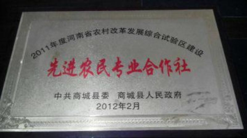 南方红豆杉，景观结果大树！
