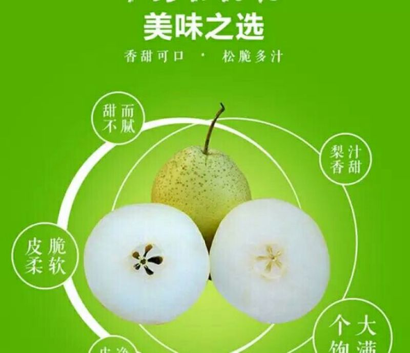 雪花梨350~400g纸袋