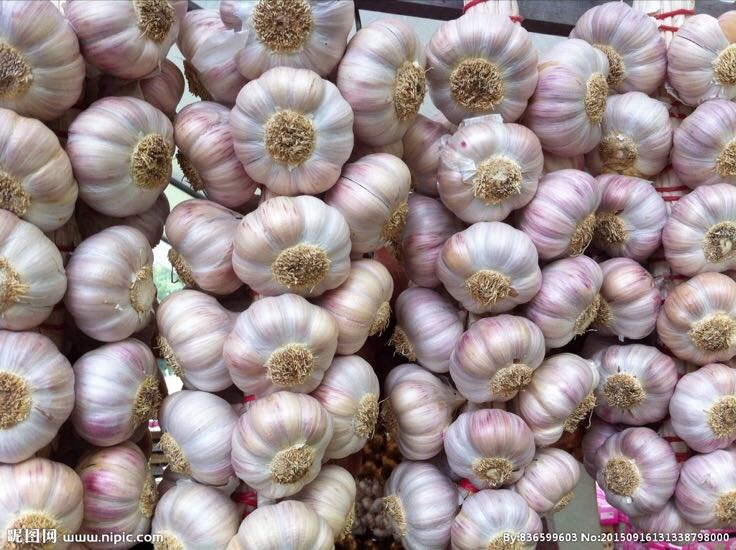 红蒜 混级统货批发_翟德星供应_一亩田农业网