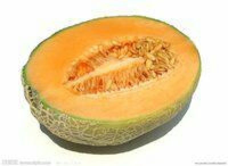 西州蜜瓜