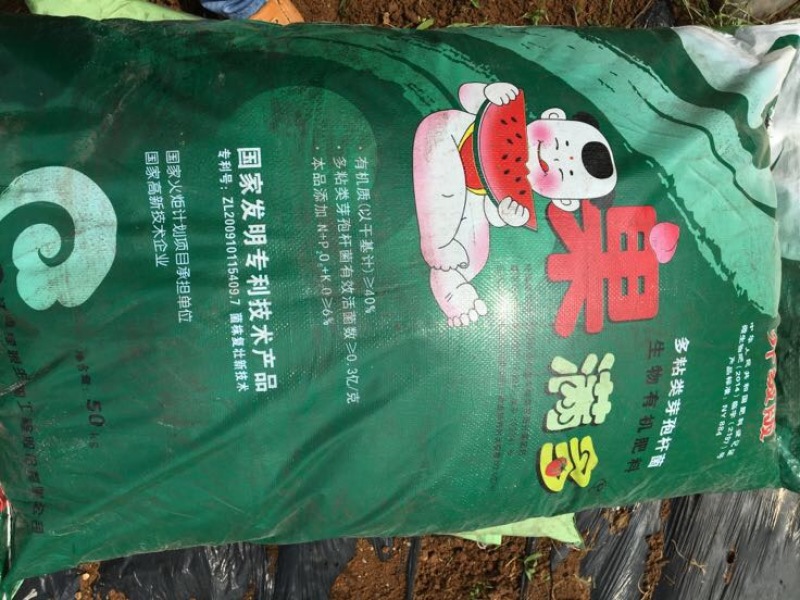 荔浦芋头