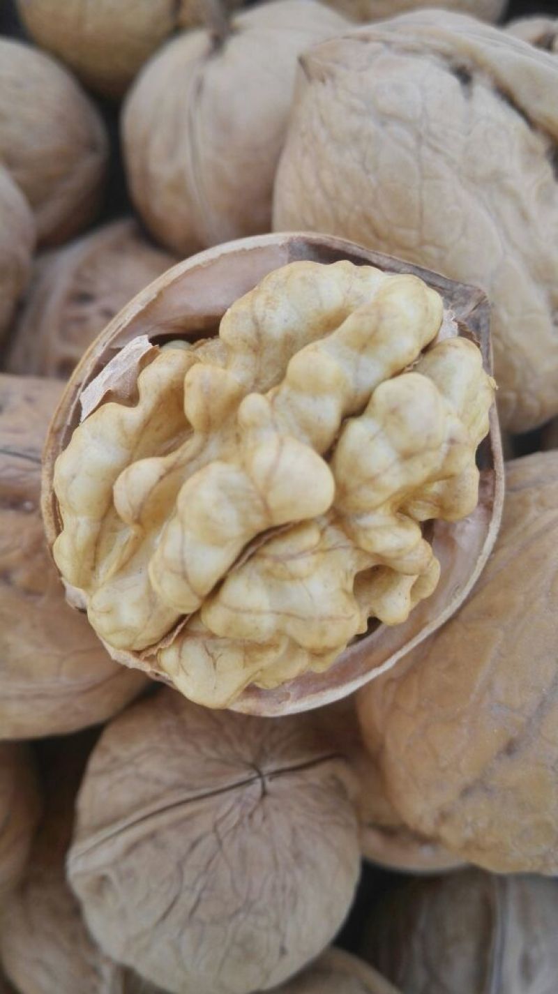 新疆185核桃25mm以上去皮干，阿克苏纸皮核桃