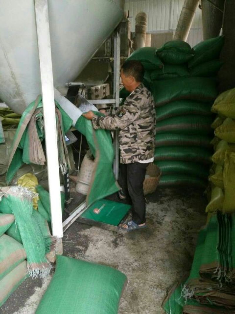 湖北精选定包优质油菜籽1优质食用油原料