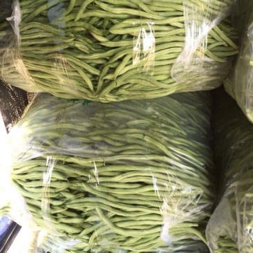 蛇豆大量上市欢迎新老客户选购