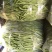 蛇豆大量上市欢迎新老客户选购